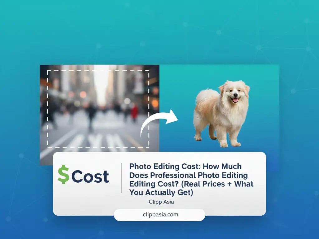 Best Photo Editing Software for Beginners