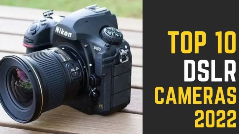 10 Best Budget DSLR Cameras For Beginners