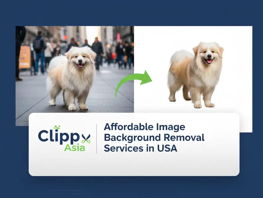 Affordable Image background removal services in USA